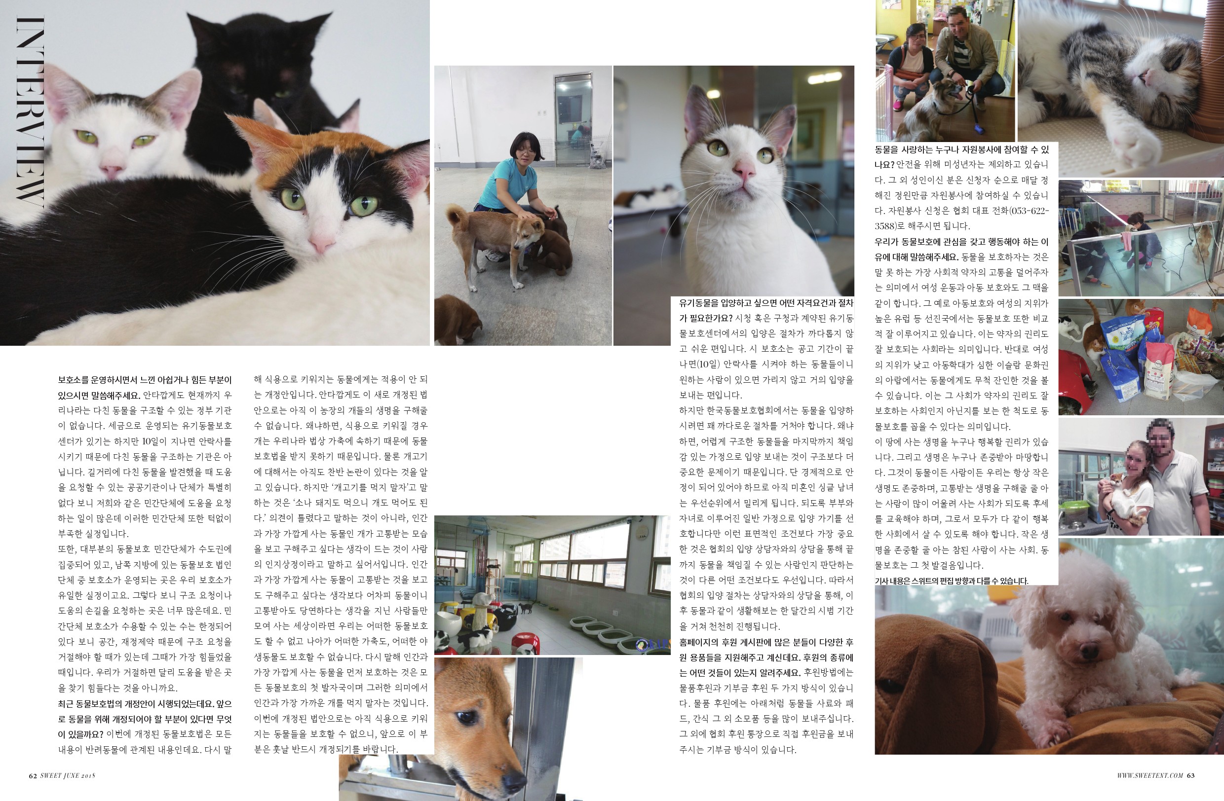 한국동물보호협회2.jpg