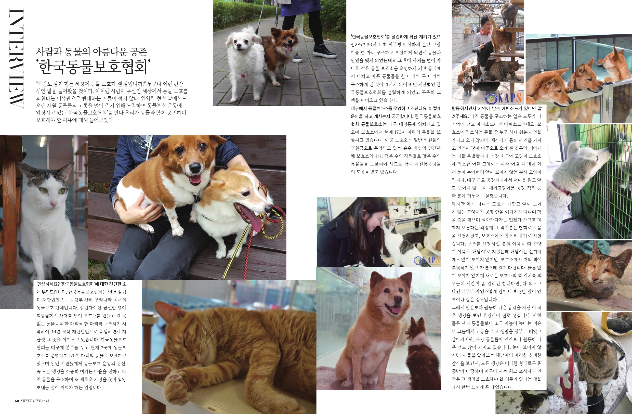 한국동물보호협회1.jpg