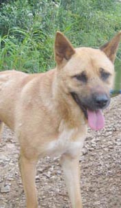 0dongkock.jpg 0dongkock.jpg