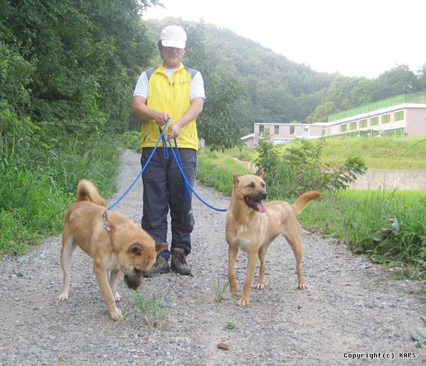 0dongkock1.jpg 0dongkock1.jpg