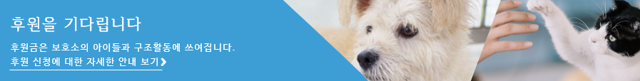 후원을 기다립니다